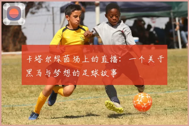 卡塔尔绿茵场上的直播:一个关于黑马与梦想的足球故事