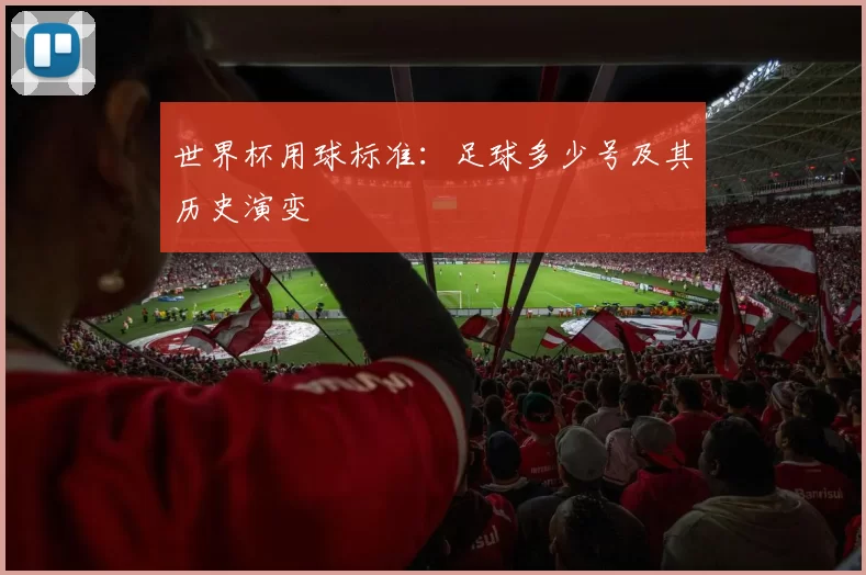 世界杯用球标准:足球多少号及其历史演变
