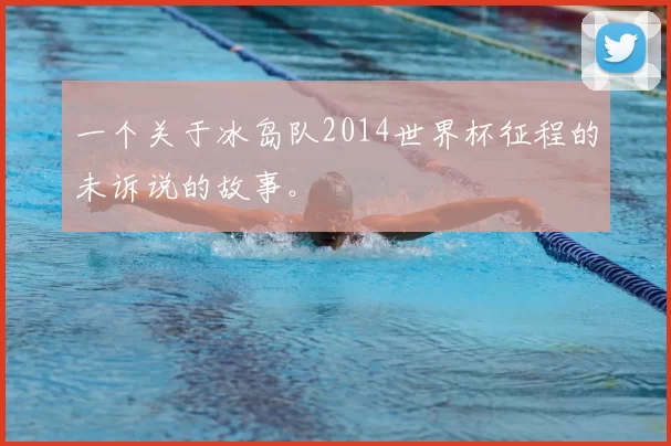 一个关于冰岛队2014世界杯征程的未诉说的故事。