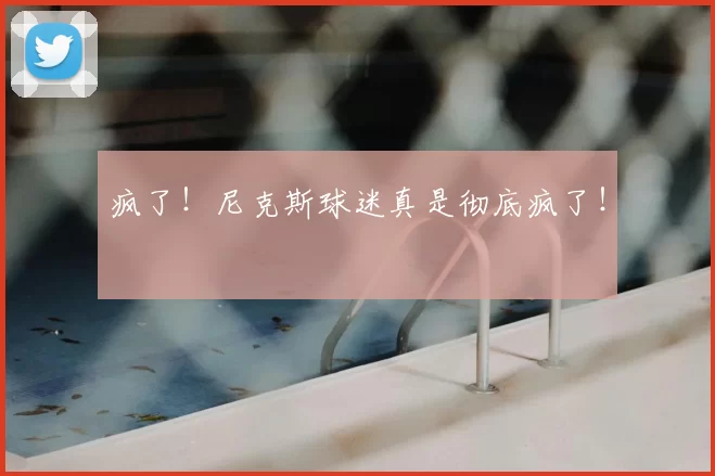 疯了！尼克斯球迷真是彻底疯了！