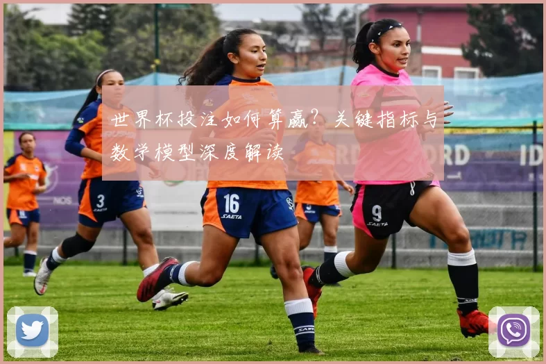 世界杯投注如何算赢？关键指标与数学模型深度解读