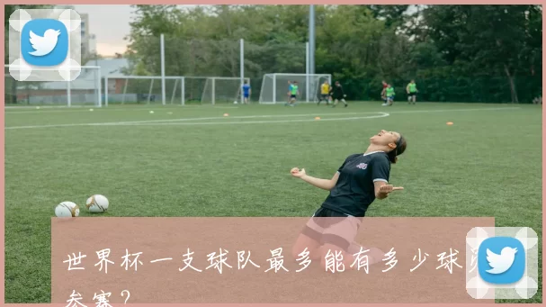世界杯一支球队最多能有多少球员参赛？
