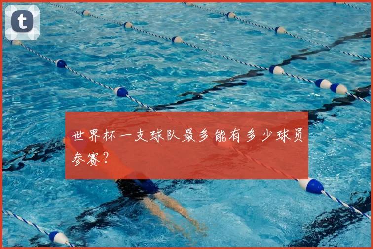 世界杯一支球队最多能有多少球员参赛？