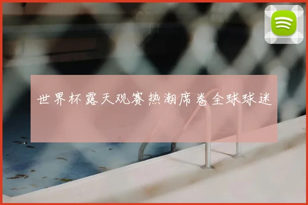 世界杯露天观赛热潮席卷全球球迷