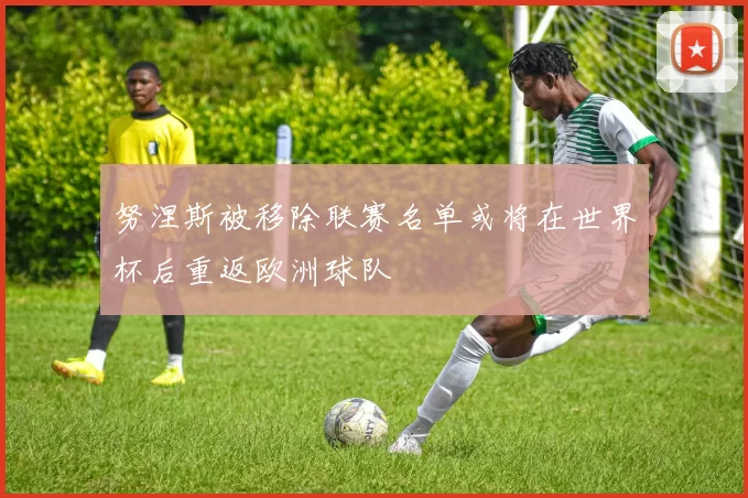 努涅斯被移除联赛名单或将在世界杯后重返欧洲球队