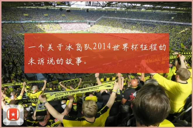 一个关于冰岛队2014世界杯征程的未诉说的故事。