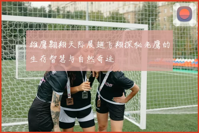 雄鹰翱翔天际展翅飞翔探秘老鹰的生存智慧与自然奇迹