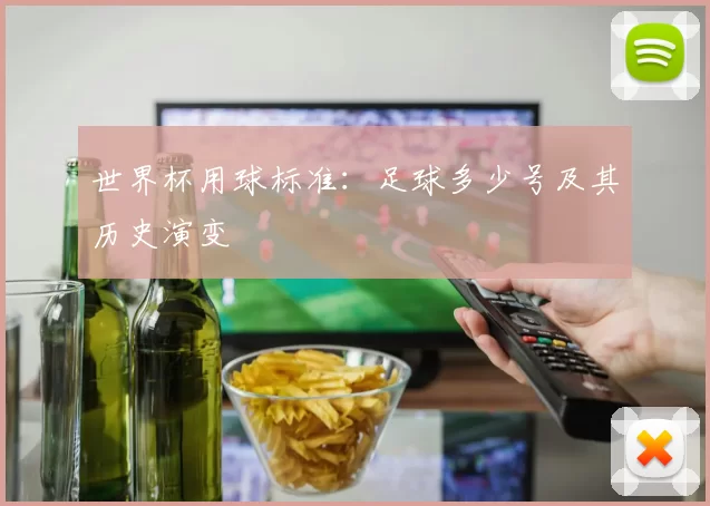 世界杯用球标准：足球多少号及其历史演变