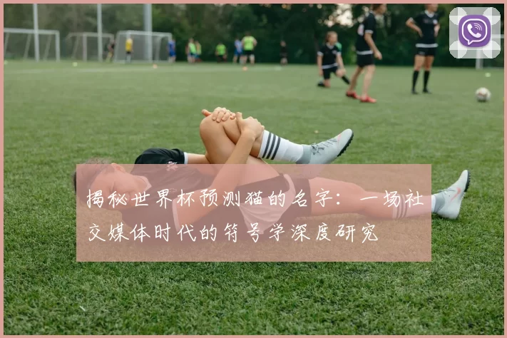 揭秘世界杯预测猫的名字:一场社交媒体时代的符号学深度研究