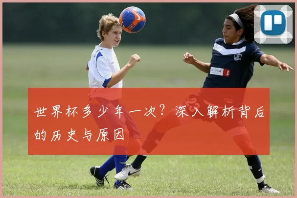 世界杯多少年一次?深入解析背后的历史与原因